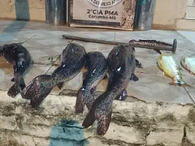 Infratores são surpreendidos pela PMA em ponto de decoada no rio Paraguai