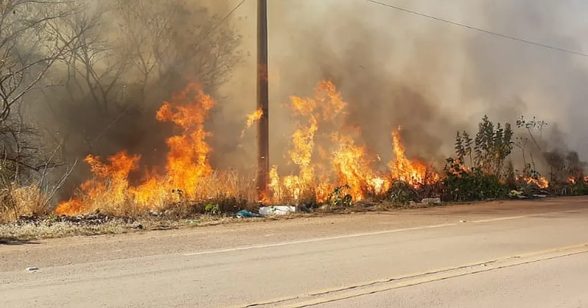 Bombeiros combatem oito incêndios em vegetações urbanas nas últimas 48 horas