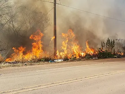 Bombeiros combatem oito incêndios em vegetações urbanas nas últimas 48 horas