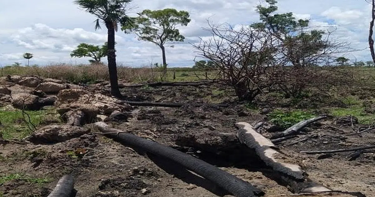 Paraense é multado em R$ 300 mil por queimar 43 hectares de Mata Atlântica em MS
