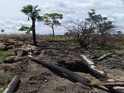 Paraense é multado em R$ 300 mil por queimar 43 hectares de Mata Atlântica em MS
