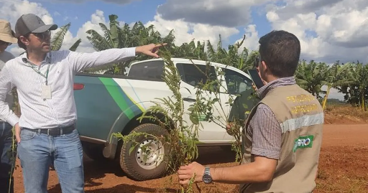 Edital da Iagro abre 29 vagas para médico veterinário