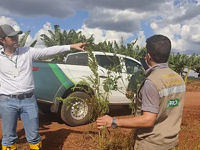 Edital da Iagro abre 29 vagas para médico veterinário