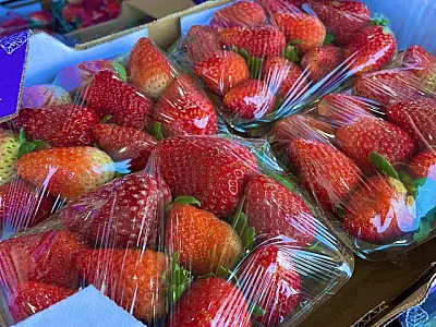 Preço do morango volta a cair, enquanto cenoura tem alta de preço na Ceasa de MS