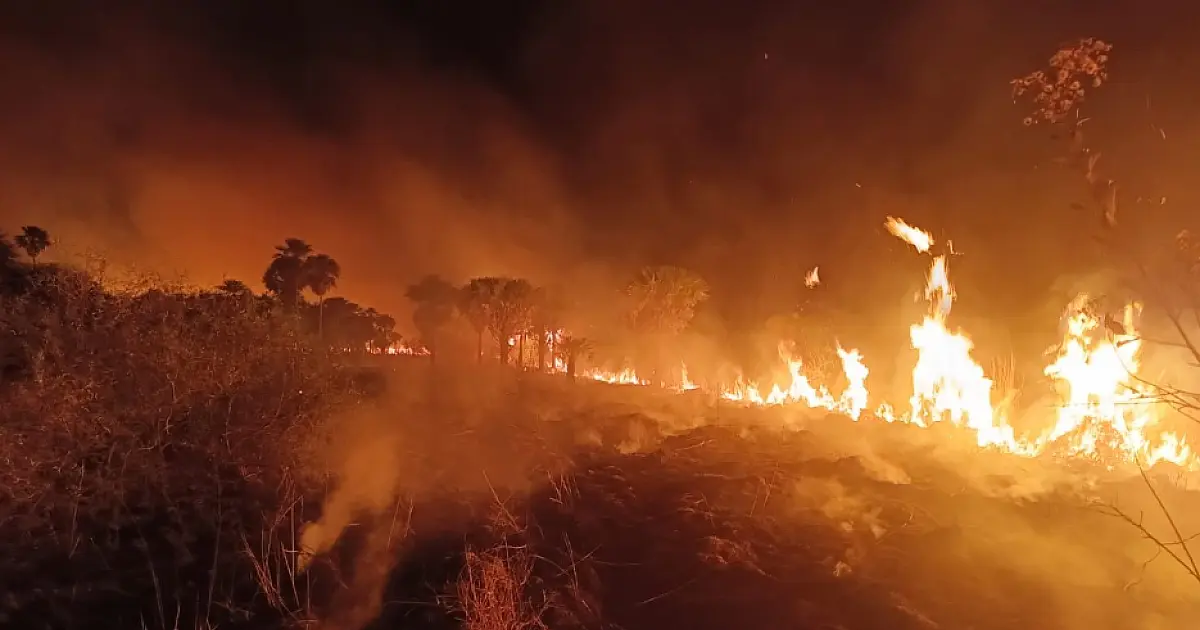 Situação de seca intensifica incêndios florestais em MS