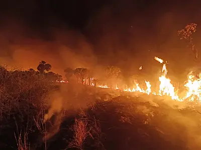Situação de seca intensifica incêndios florestais em MS