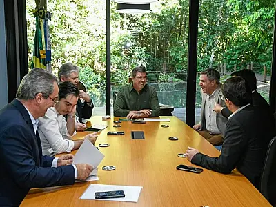 Com setor da citricultura em expansão, mais uma empresa vai investir em MS