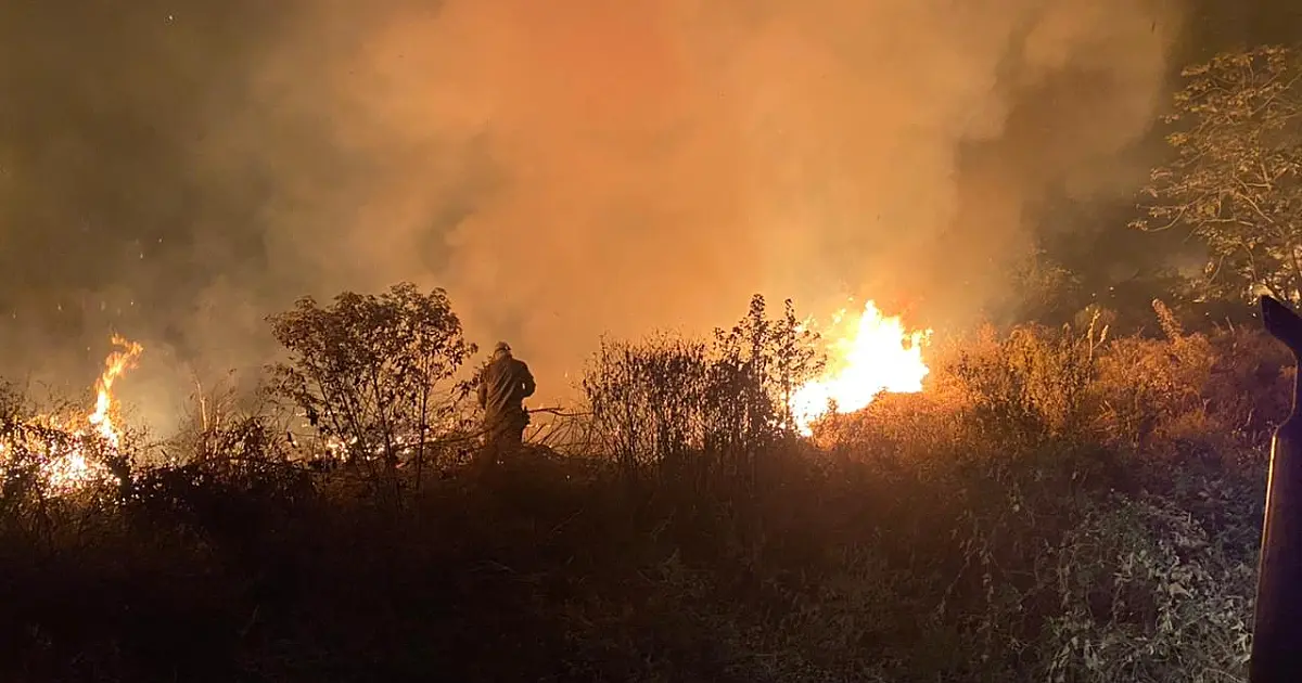 Proprietária tenta reverter multa de R$ 19 milhões por incêndio de 69 fazendas em 2023