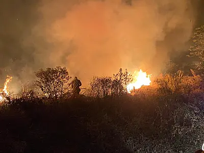 Proprietária tenta reverter multa de R$ 19 milhões por incêndio de 69 fazendas em 2023