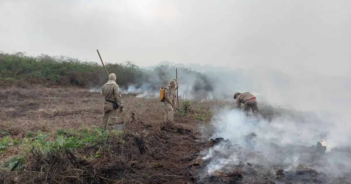 Prevenção contra incêndios é antecipada no Pantanal