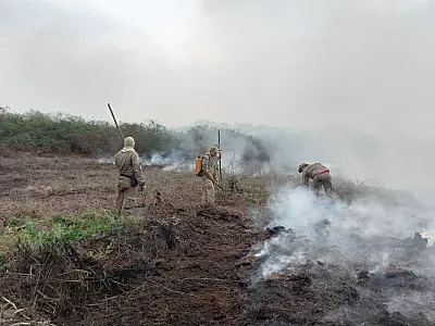 Prevenção contra incêndios é antecipada no Pantanal