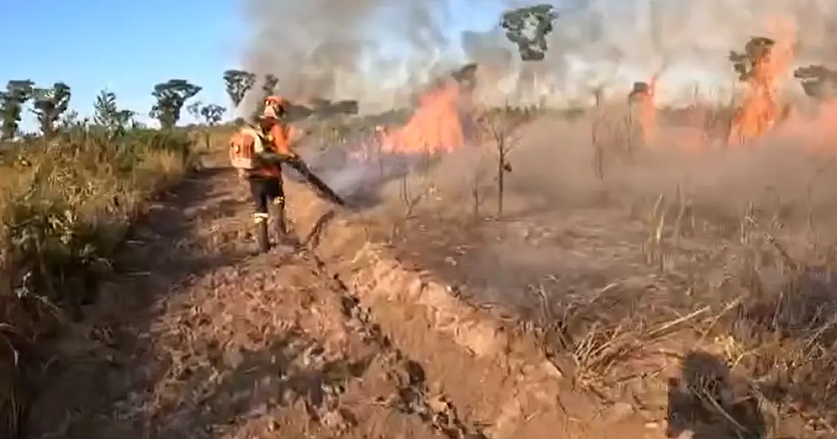 Operação Pantanal 2024 completa 67 dias de atuação