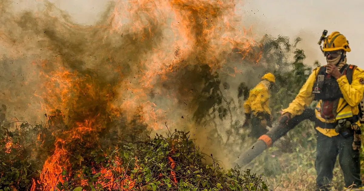 Governo abre crédito extraordinário de R$ 137,6 mi para combater incêndios no Pantanal