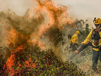 Governo abre crédito extraordinário de R$ 137,6 mi para combater incêndios no Pantanal