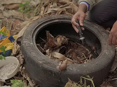 MS registra redução de 23% nas mortes por dengue entre 2023 e 2024