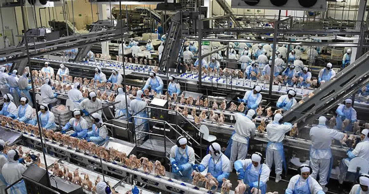 Exportação de industrializados alcança melhor resultado para o mês novembro