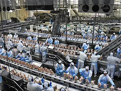 Exportação de industrializados alcança melhor resultado para o mês novembro