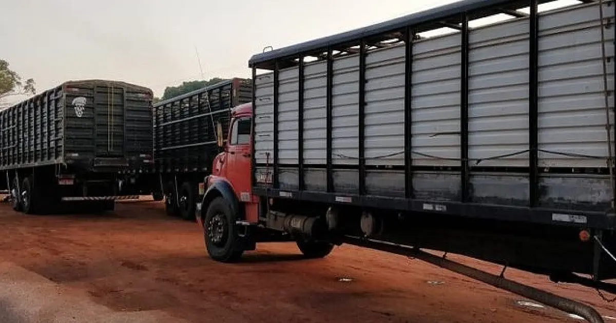 Iagro suspende obrigatoriedade do aplicativo para transportadores de animais