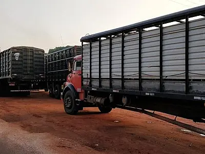 Iagro suspende obrigatoriedade do aplicativo para transportadores de animais