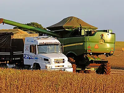 Agropecuária gera o dobro de emprego no ano e puxa índice de vagas no Estado