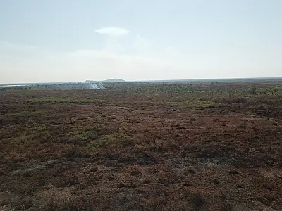 Climatologista prevê fim do Pantanal em 46 anos
