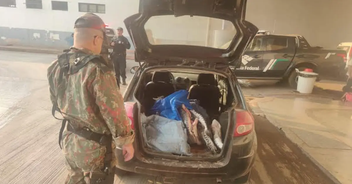 Pescador profissional de Corumbá é multado em R$ 2,4 mil com pescado ilegal
