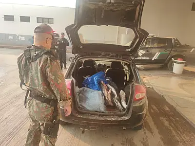 Pescador profissional de Corumbá é multado em R$ 2,4 mil com pescado ilegal