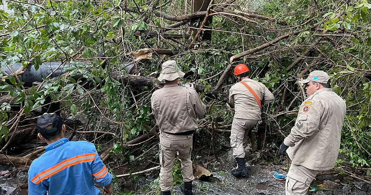 Queda de árvore rompe tubulação da captação de água em Corumbá