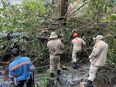 Queda de árvore rompe tubulação da captação de água em Corumbá