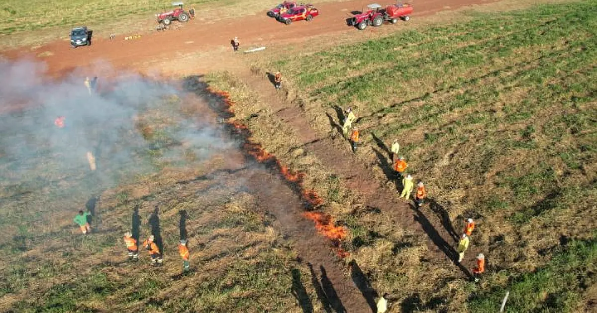 MS é pioneiro na implementação do Manejo Integrado do Fogo como prevenção a incêndios