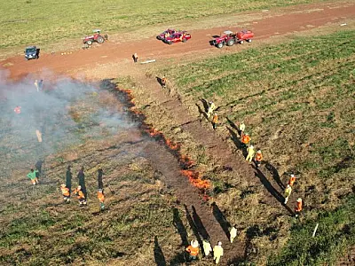 MS é pioneiro na implementação do Manejo Integrado do Fogo como prevenção a incêndios