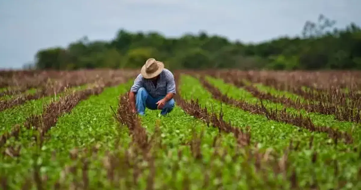 Senar está com inscrições abertas para Curso Técnico em Agronegócio