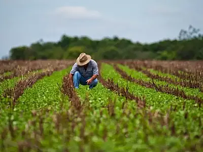Senar está com inscrições abertas para Curso Técnico em Agronegócio
