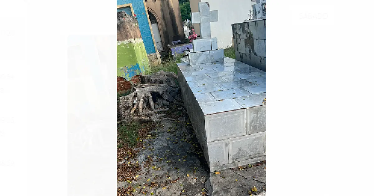 Abandonado, cemitério Santa Cruz é vandalizado e vira refúgio para usuários de drogas