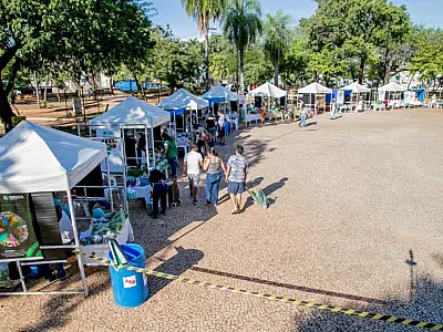 Neste sábado tem Feira Segura com produtores de assentamentos
