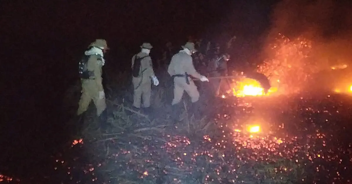 Bombeiros combateram quatro incêndios nas últimas 24 horas