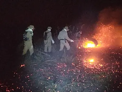 Bombeiros combateram quatro incêndios nas últimas 24 horas