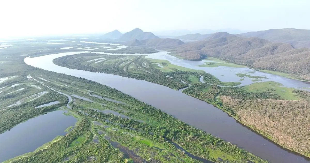 Pantanal apresentava sinais da seca desde agosto de 2023, diz Ecoa