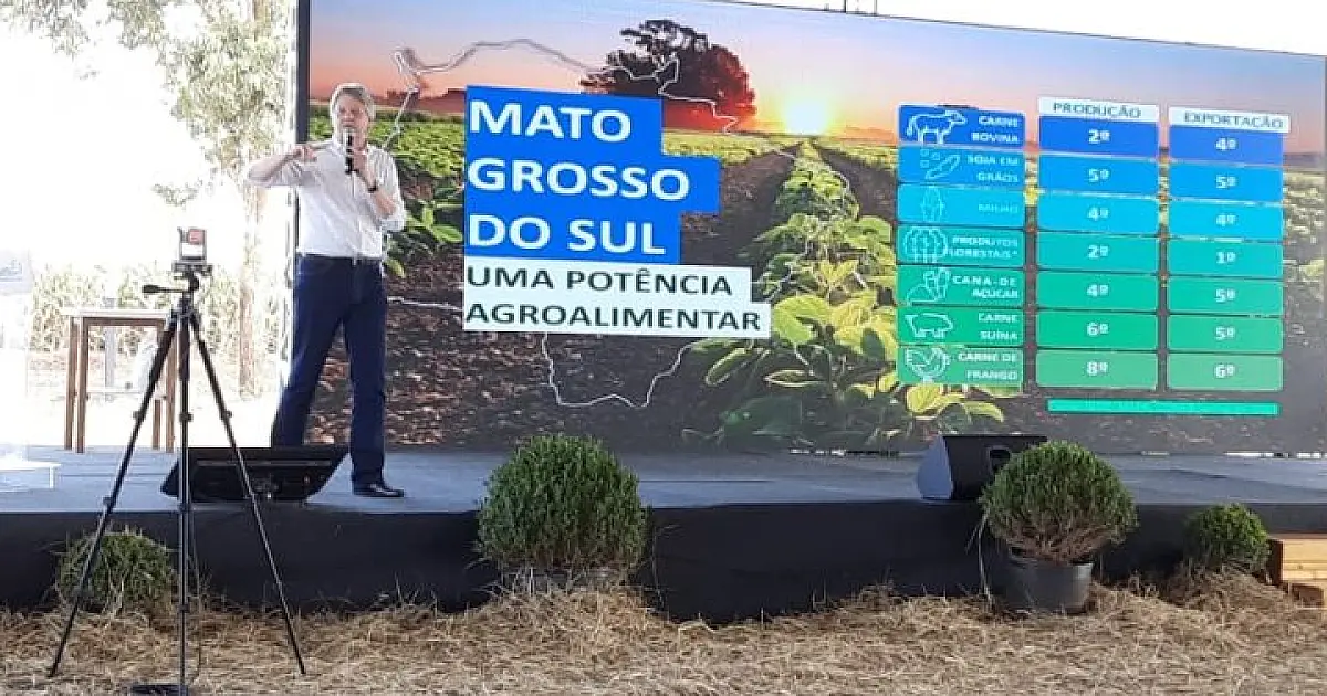 Área ocupada por soja em Mato Grosso do Sul deve crescer 22% em três anos, aponta estudo