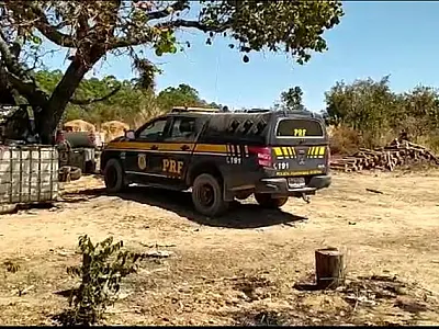 PRF em operação conjunta com o Ministério Público do Trabalho atua no combate ao trabalho escravo