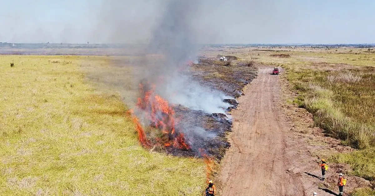 Área queimada dispara 770% e nova onda de calor eleva risco de incêndios no Pantanal