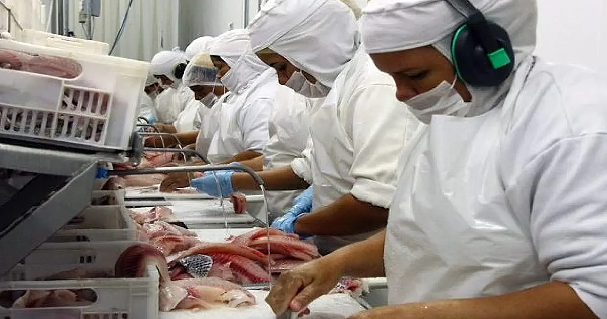 Plano quer elevar em quase 50% a produção de peixes de cultivo em MS