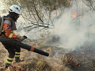 Equipes combatem o fogo em pelo menos 12 regiões de MS