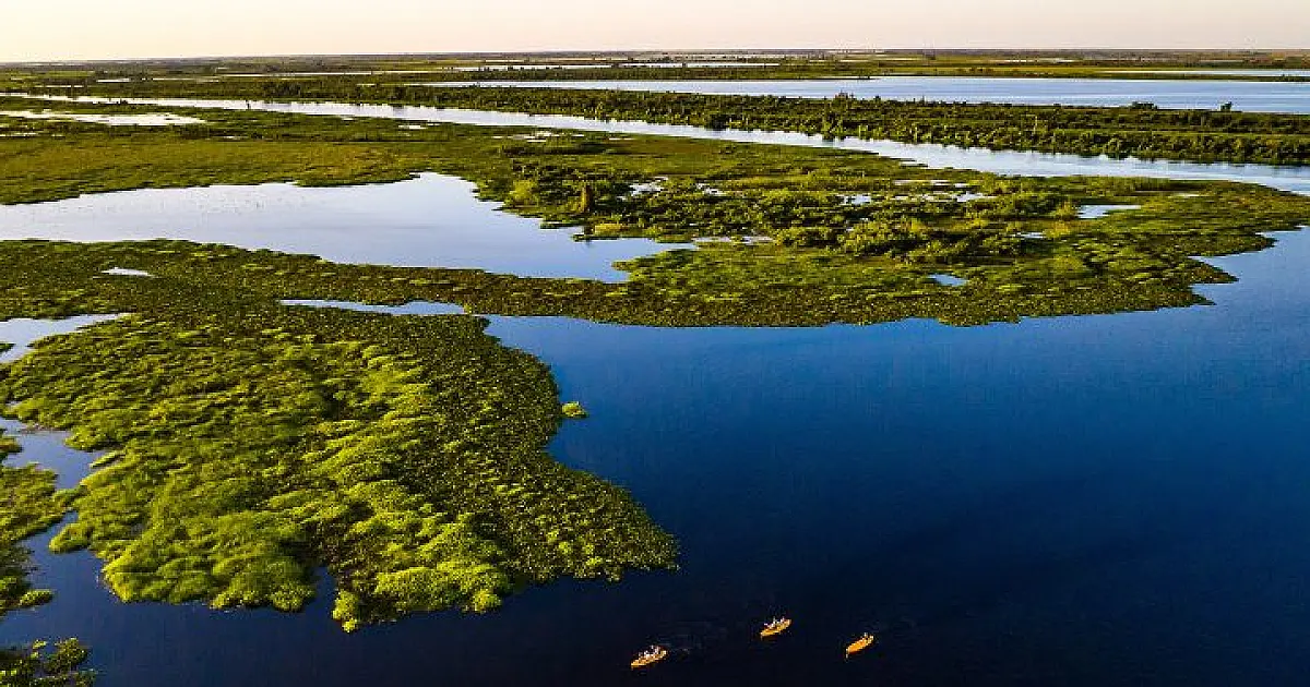 Focos de calor reduzem 80% no Pantanal de MS