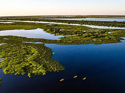 Focos de calor reduzem 80% no Pantanal de MS
