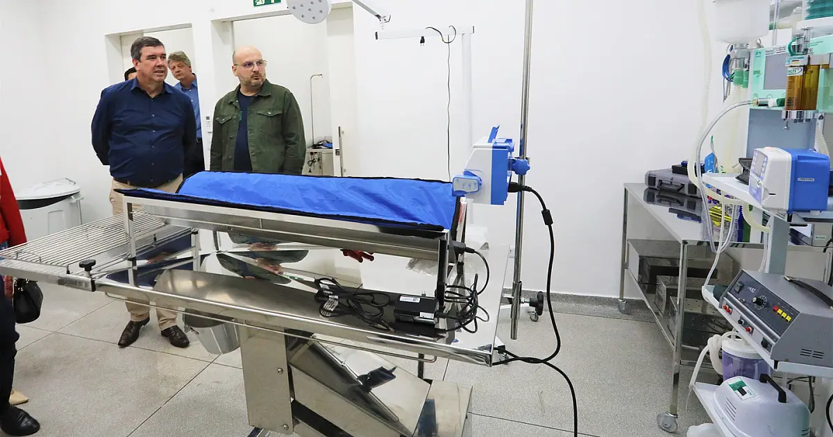 MS se torna referência na América Latina com hospital veterinário para animais silvestres
