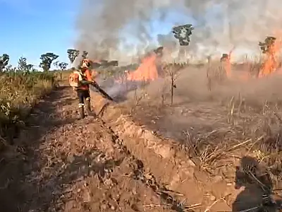 MP investiga mais quatro fazendas que tiveram 4,1 mil hectares queimados