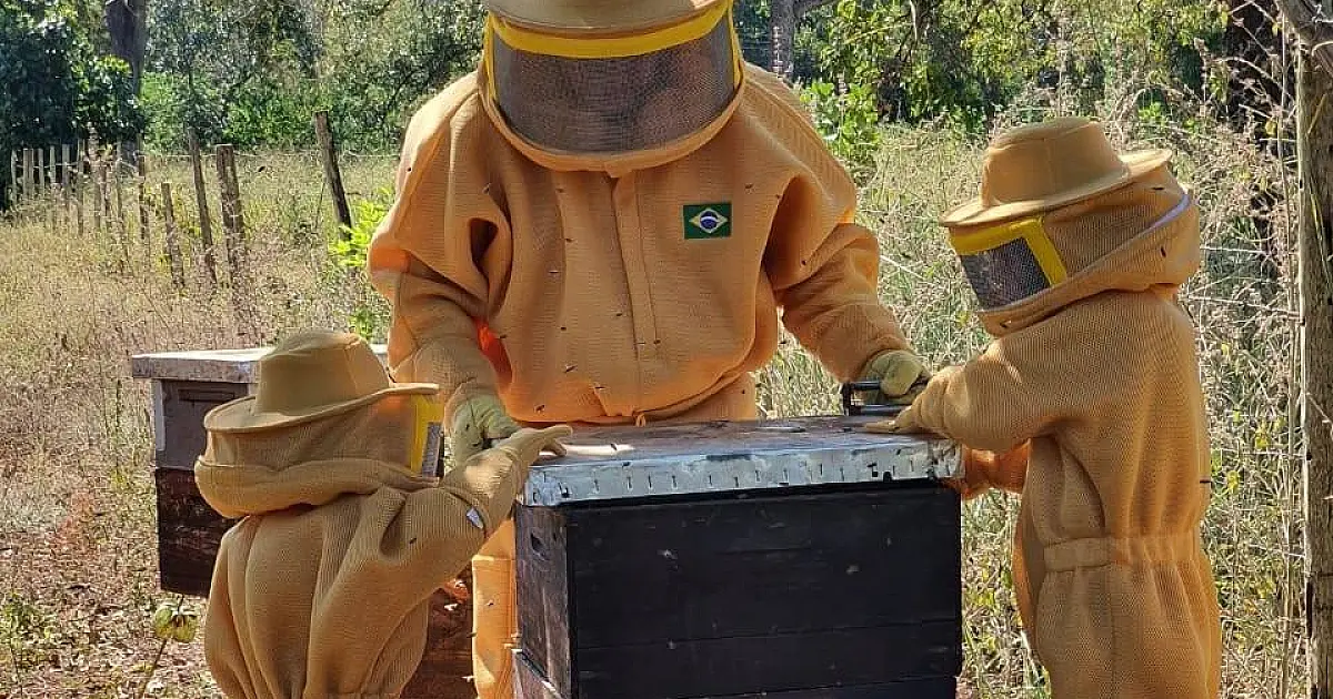 Reativação de entidade aprimora comercialização e abre mercado para mel do Pantanal