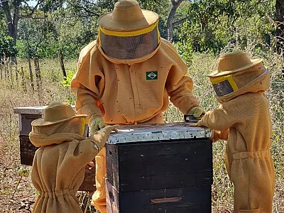 Reativação de entidade aprimora comercialização e abre mercado para mel do Pantanal