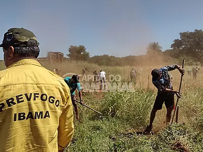 Candidatos participam das provas seletivas para Brigadistas do Prevfogo/Ibama 2025